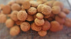 dutch-spicenuts-pepernoten-kruidnoten-recipe