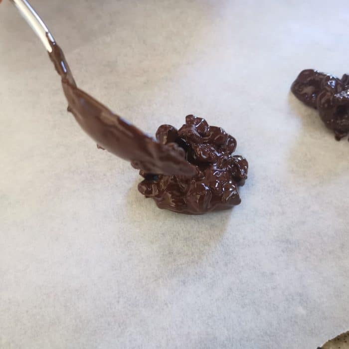 spoonful chocolate coated walnuts