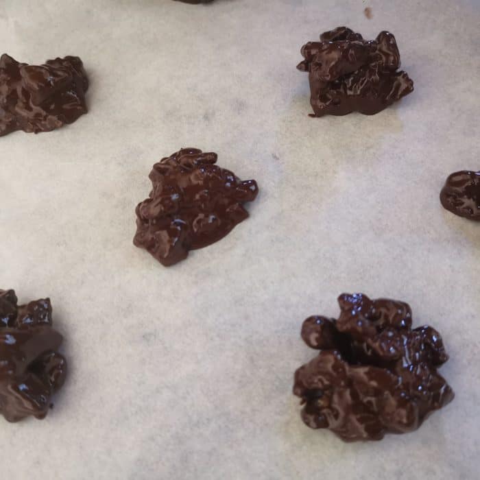 spoonful chocolate coated walnuts