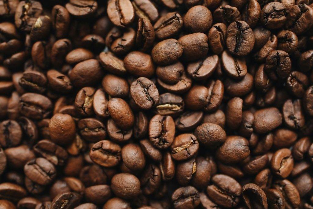 Discover How to Sip, Save, and Give Back with Pablo & Rusty’s Rewards Program